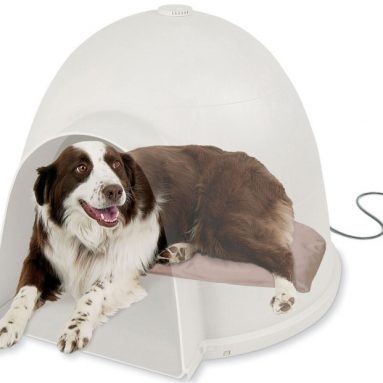 Lectro-Soft Igloo Style Dog Bed