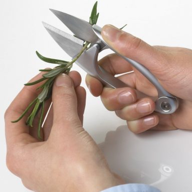 Perfect Kitchen Herb Scissors