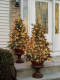 4-Foot Green River Spruce Stake Christmas Tree