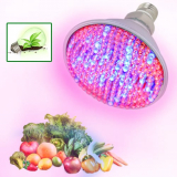 Red and Blue LED Grow Light