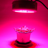 LED Grow Light for indoor gardener