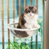 Clear Capsule Planet Window Cat Bed