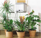 Watering system for house plants