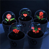 Smart touch romantic pot