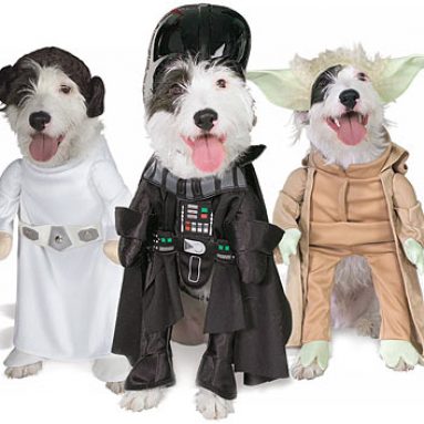 Pet Star Wars Costumes