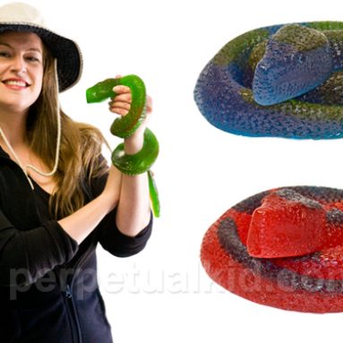 GUMMY SNAKE