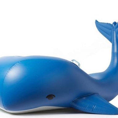 Inflatable Moby Dick