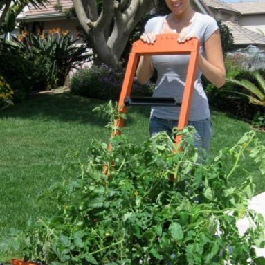 Vegetable Planter | Flower Planter | Outdoor Planters