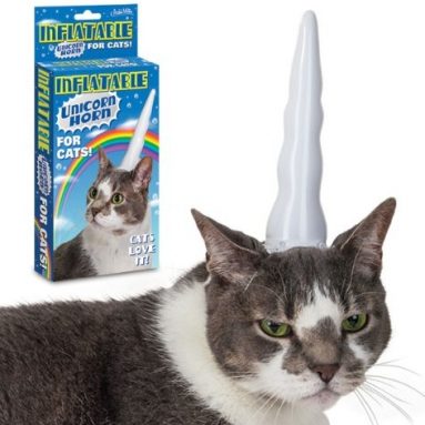 Inflatable Unicorn Horn for Cats