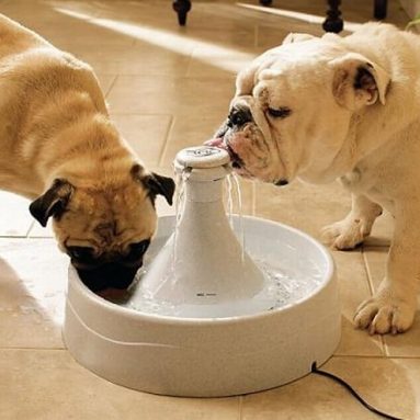 Drinkwell 360 Pet Fresh Water Fountain