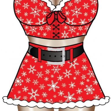 Santa Apron