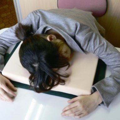 Dictionary Desk Pillow