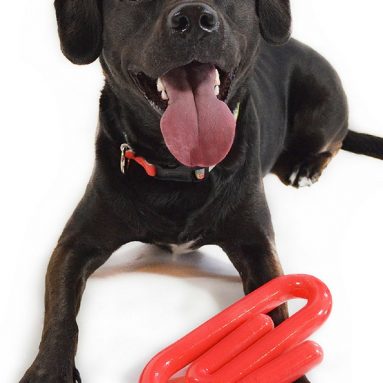 paperclip chew toy set