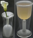 Tulip Wine Glass + Vase