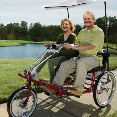 Dual Seat Adult Tricycles
