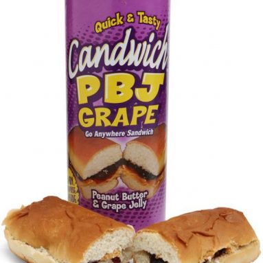 Candwich Canned Sandwich
