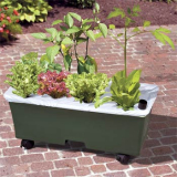 Earthbox Garden Kit