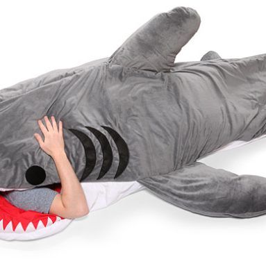 Chumbuddy Sleeping Bag