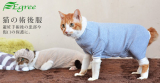 Pet protective clothes