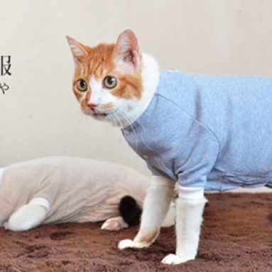 Pet protective clothes