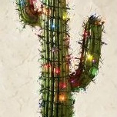 Illuminated Saguaro Cactus