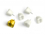 Tooth Push Pins