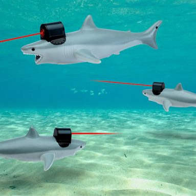 Shark With Frickin’ Laser Pointer