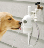 The Dog Activated Outdoor Fountain