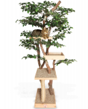 Cat Tree House