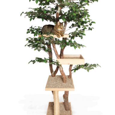 Cat Tree House