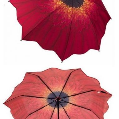 Red Daisy Umbrella