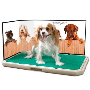 The Easy Drain Pet Restroom