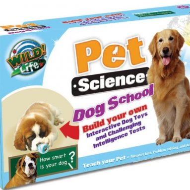 Dog School Pet Science Kit by Wild