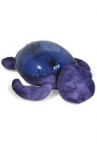 Purple Tranquil Turtle