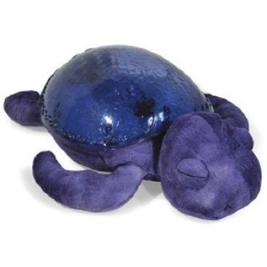 Purple Tranquil Turtle