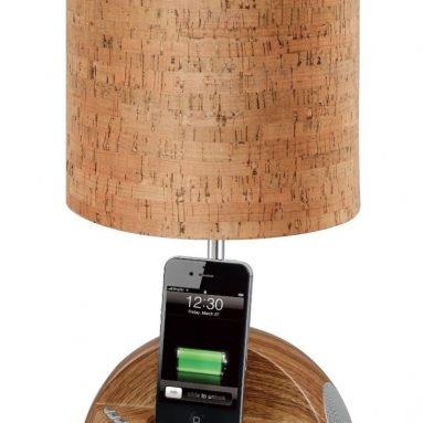 Docking Station with FM Radio and Alarm Clock for iPod and iPhone