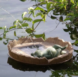 Floating Happy Frog Relaxing Spitter Solar Pond Fountain