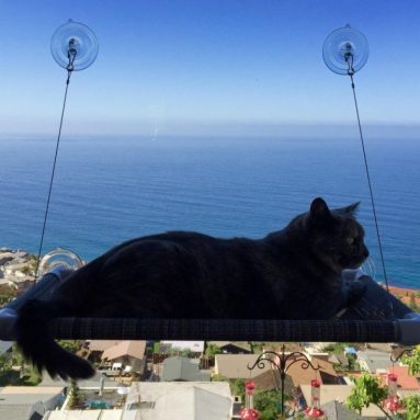 Original KITTY COT World’s BEST Cat Perch