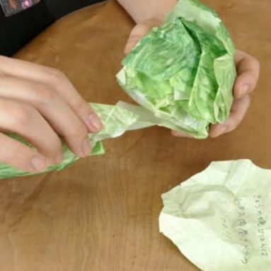 Lettuce Notepad