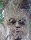 Pete Tree Face