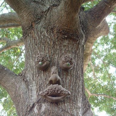 Genuine Tree Peeple Mr. Mapleshade Tree Face