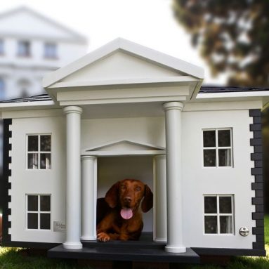 Dog Mansion