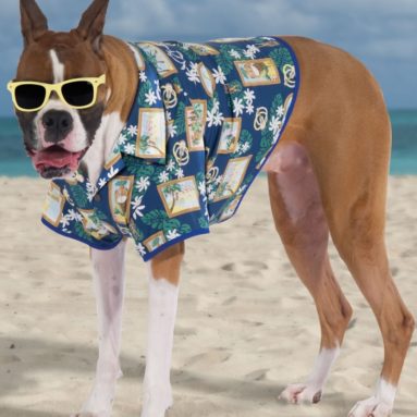 The Canine Hawaiian Shirt