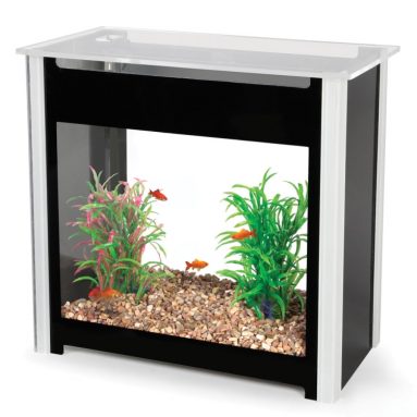 The Minimal Maintenance Aquarium