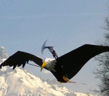 Remote Control Eagle