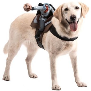 Dog Riders Headless Horseman Costume