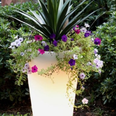 Glow Illuminated Planter