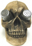 Skull Salt & Pepper Shaker Set