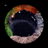 home planetarium Home Star