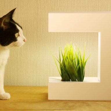 14 LED Hydroponic Grow Box